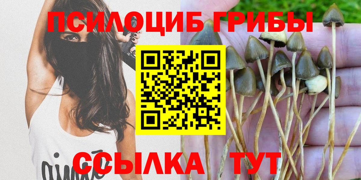 Галлюциногенные грибы MAGIC MUSHROOMS Асино