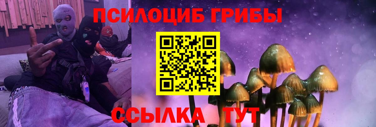 цена наркотик  Вход с VPN  Асино  Галлюциногенные грибы MAGIC MUSHROOMS  Псилоцибиновые грибы Psilocybine cubensis 