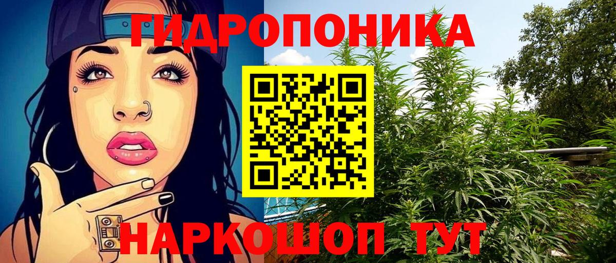 Конопля Amnesia  Каннабис White Widow  МАРИХУАНА семена  Асино  Вход с VPN 